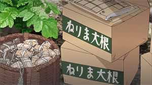 Radish boxes, basket of cash